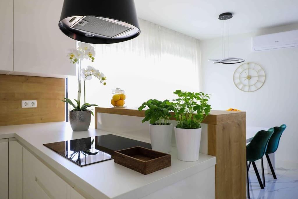 Apartman Anna ザダル エクステリア 写真